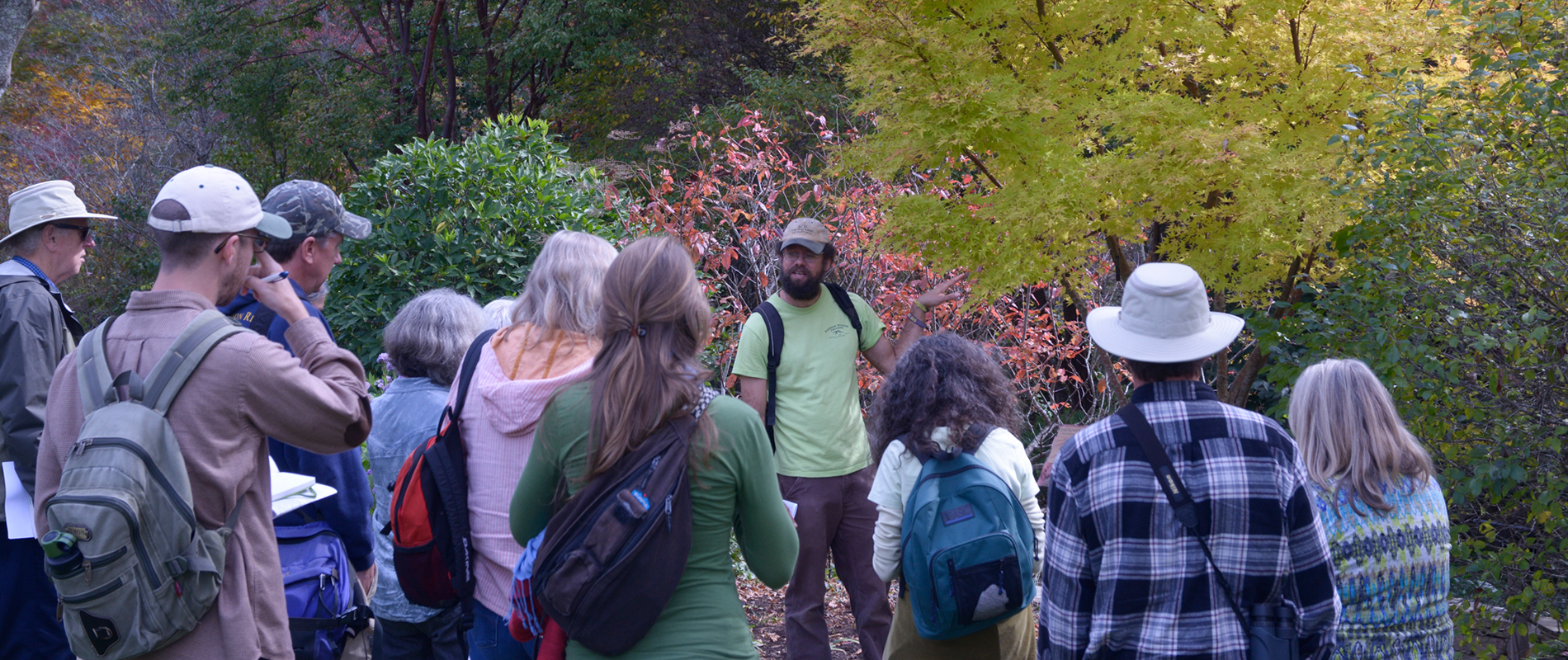 Group Visits & Guided Walks