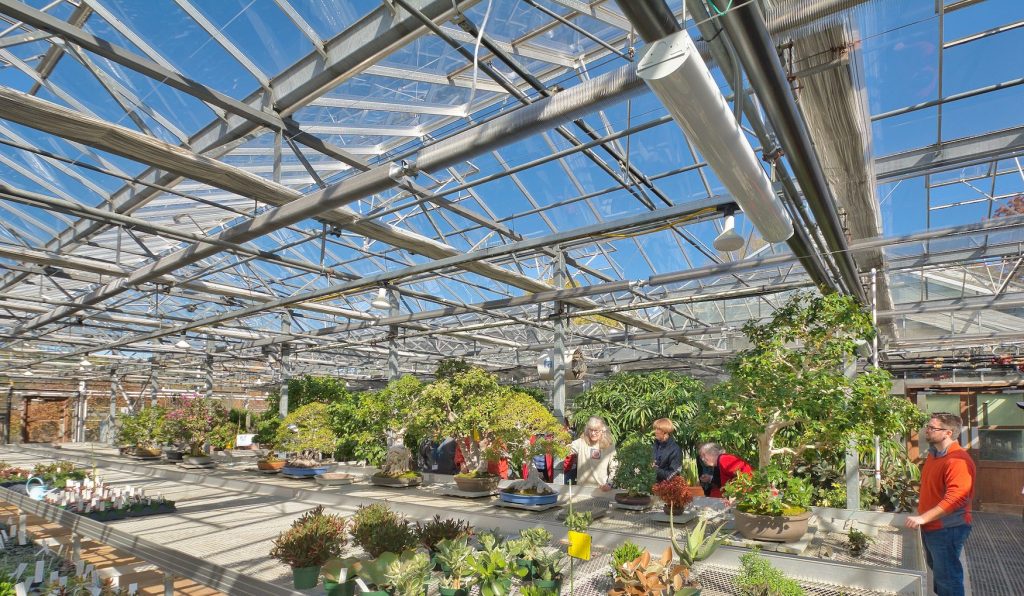 Bonzai B Greenhouse Conservatory Interior