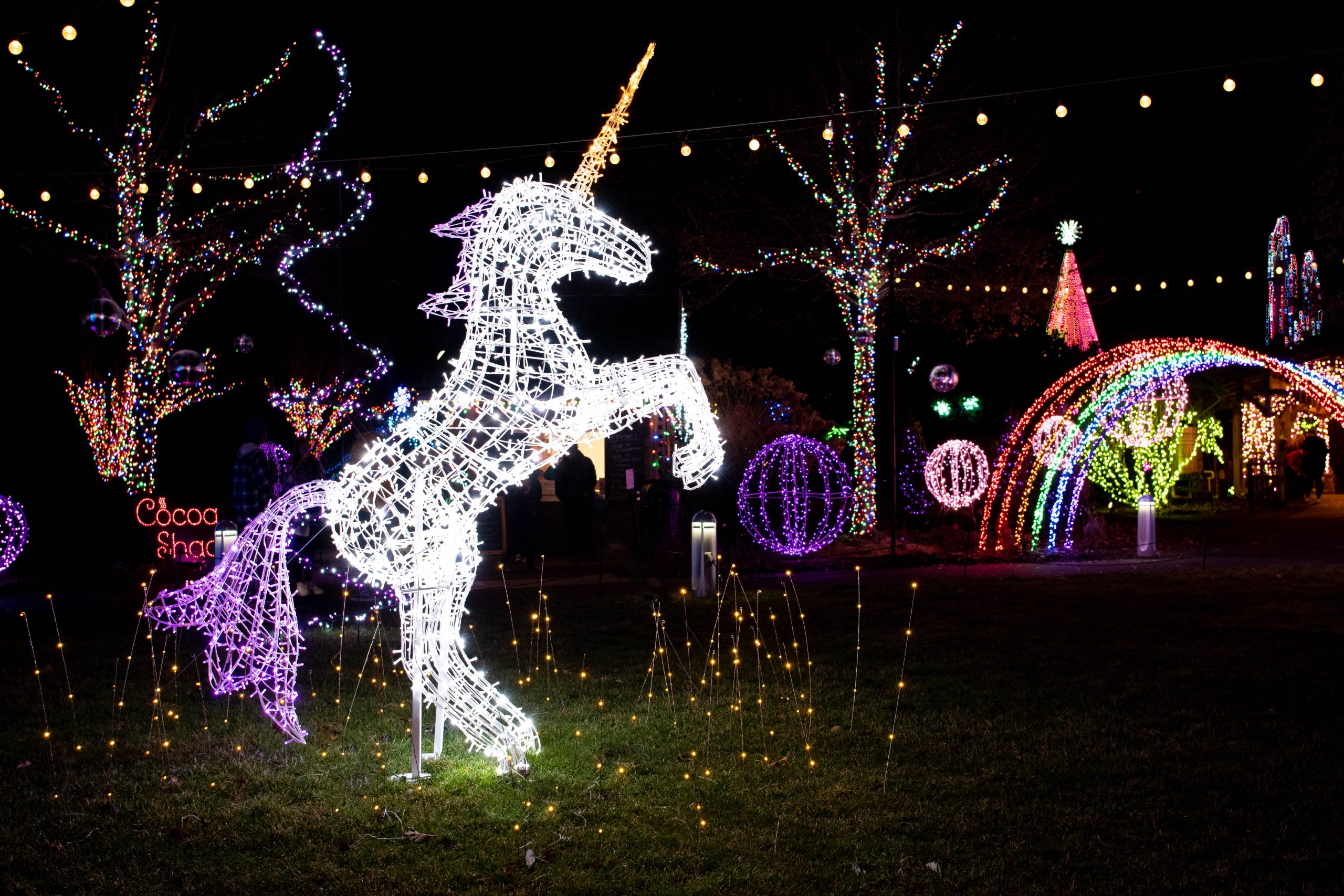 Winter Lights 2022 Thanks You!
