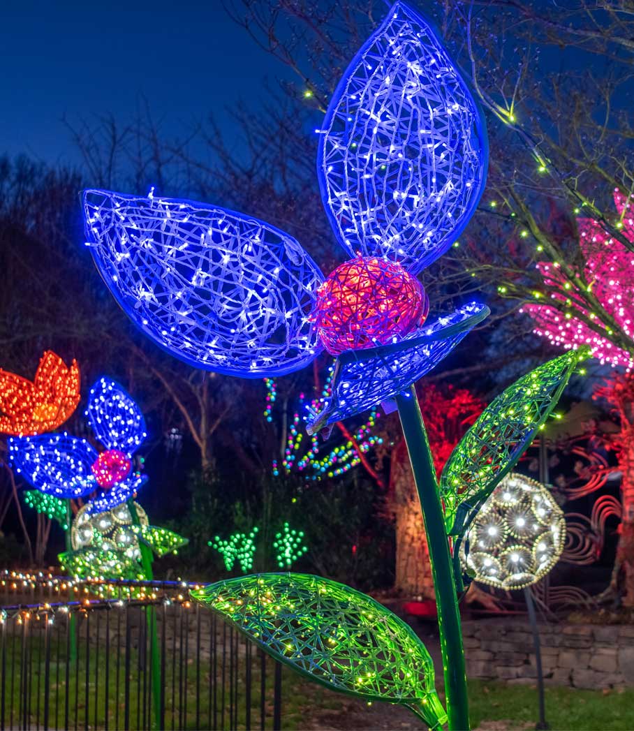 WinterLights.jpg
