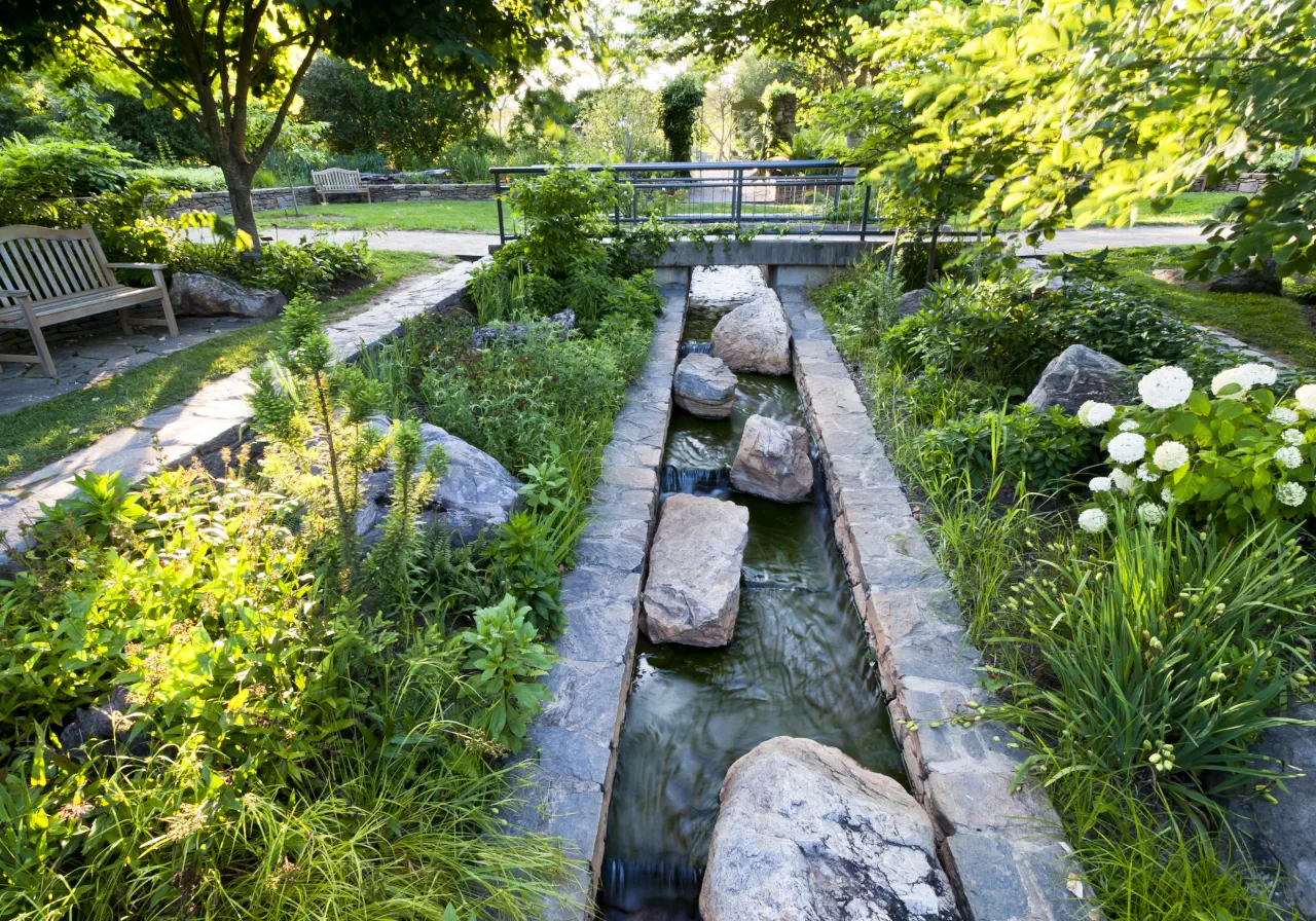 Stream Garden