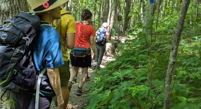 Group Tours