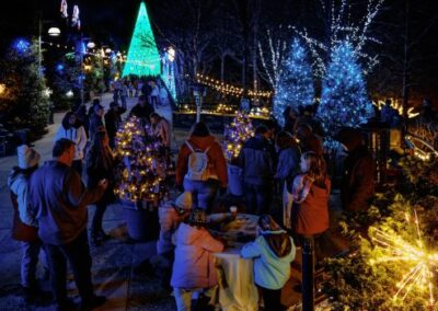 Crowd of guests enjoying the lighted trail at night