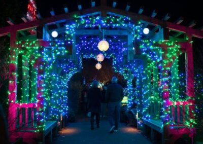 Walkway arbor covered in colorful holiday lights