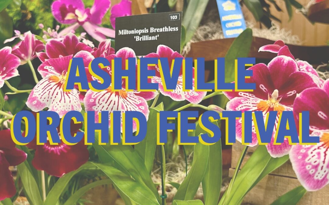 Asheville Orchid Festival