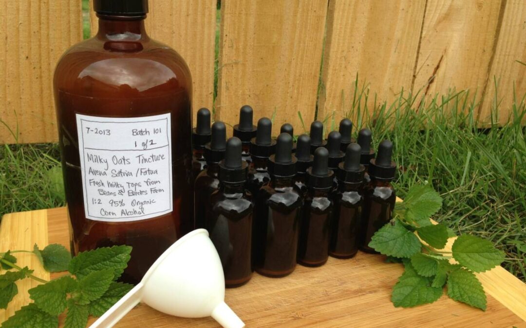 The Romance of Plants: A Heart-Centered Approach to Making Herbal Medicines