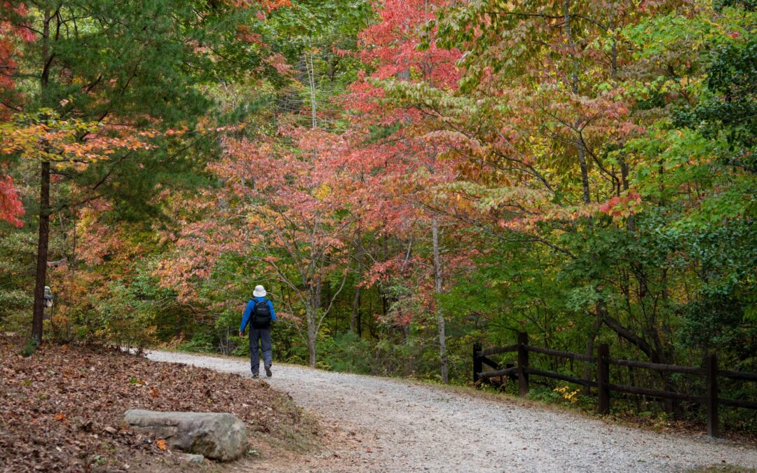 Fall Trail Day