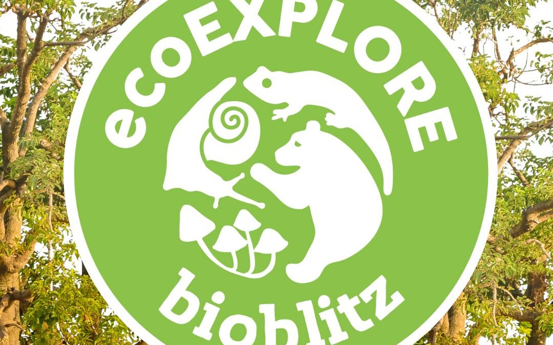 2023 City Nature Challenge