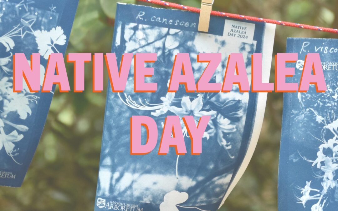Native Azalea Day