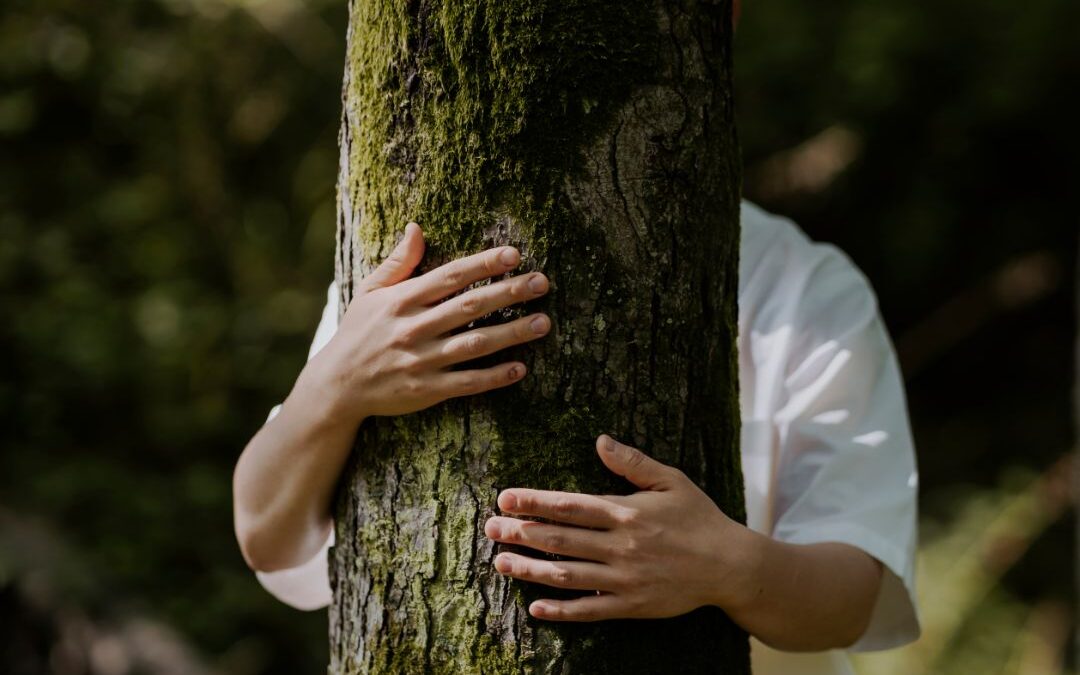 Forest Bathing: Celebrating Mother Earth (full)
