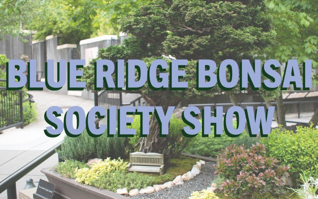 Blue Ridge Bonsai Society Show