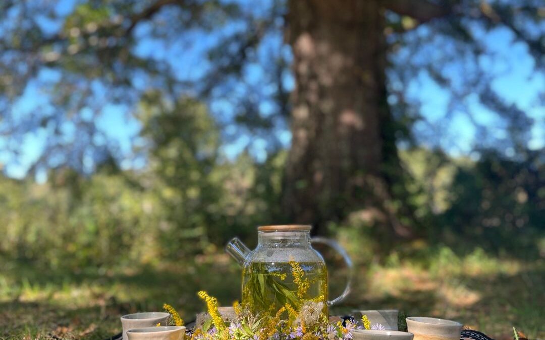 Forest Bathing Retreat: CommuniTEA Amongst the Trees