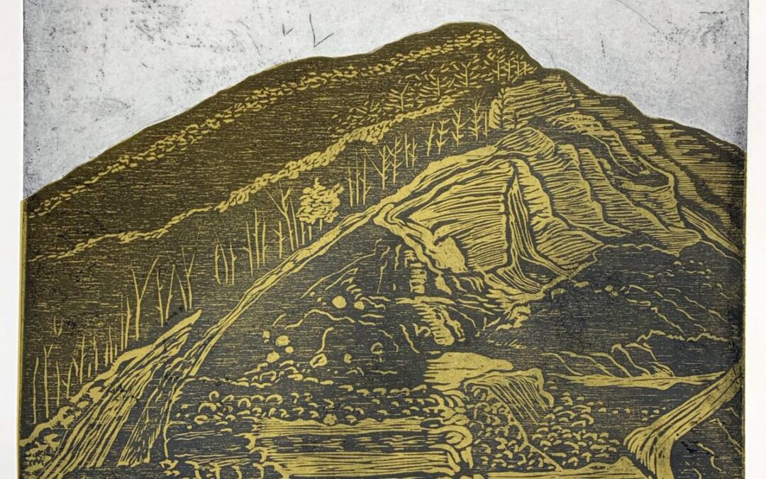 Natural Impressions: Prints from the Asheville Printmakers