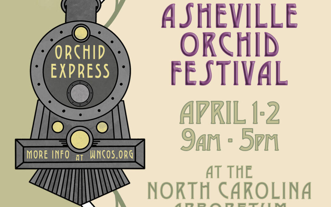 Asheville Orchid Festival