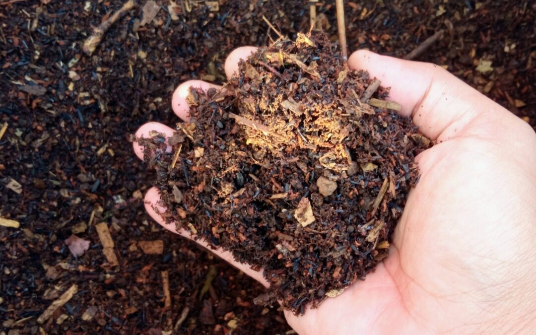 Plant Sale Class: Soil Amendments & Conditioners