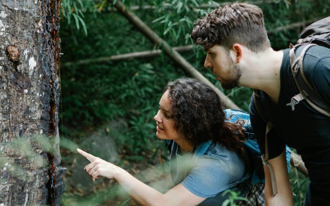 Advanced Tree ID Trek