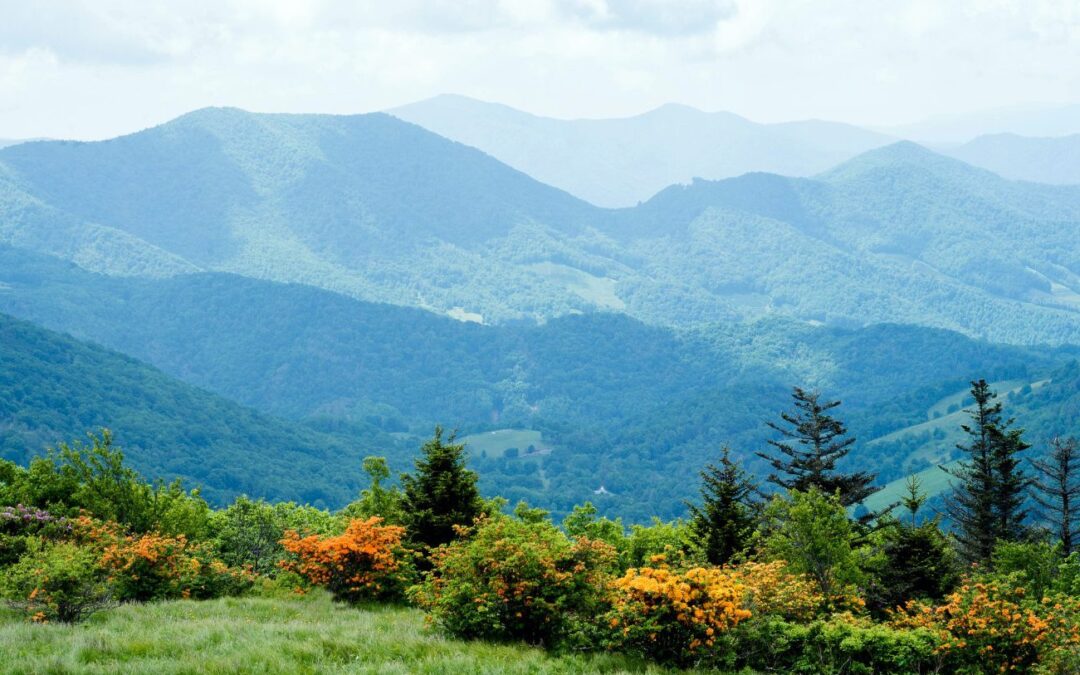 Introduction to Appalachian Ecology