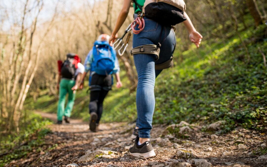 Summer Ecology Walk
