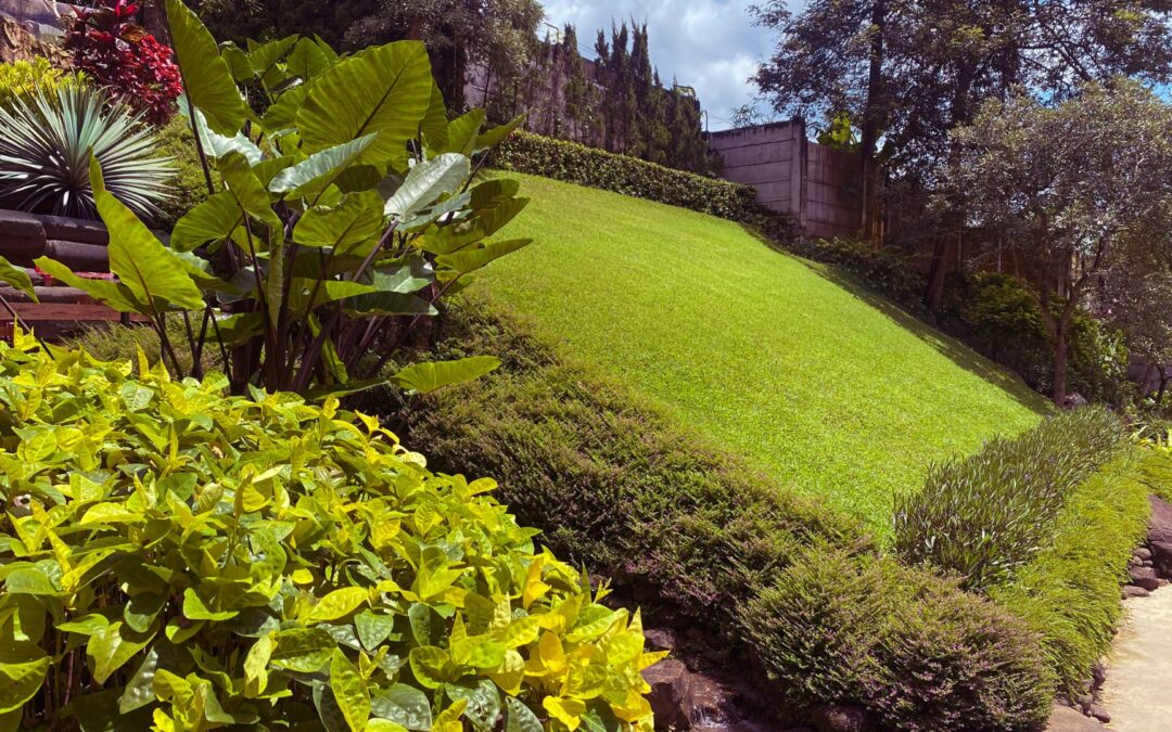 Gardening on Slopes