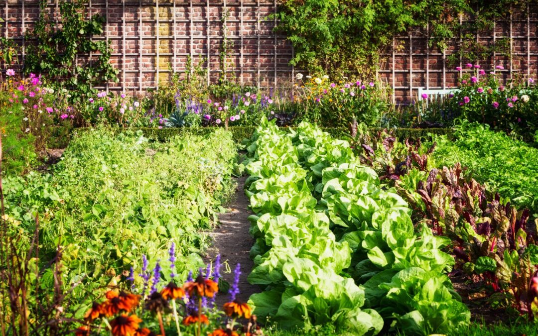 Gardening with an Ecologic Mindset (2 sessions)