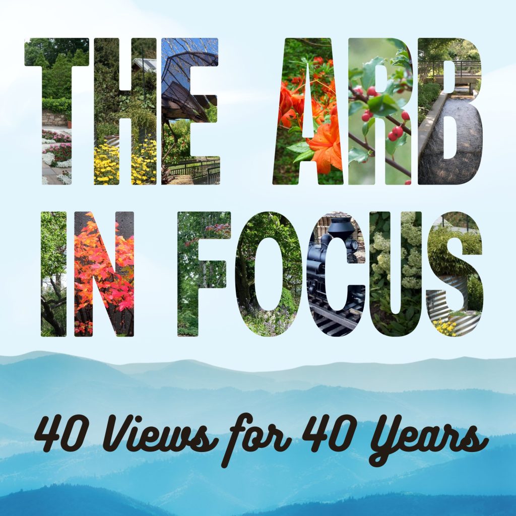 The Arb in Focus: 40 Views for 40 Years