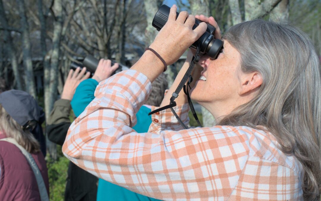 Birding for Beginners