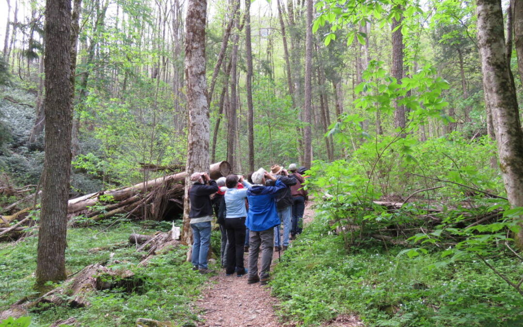AE21 Birding Walk