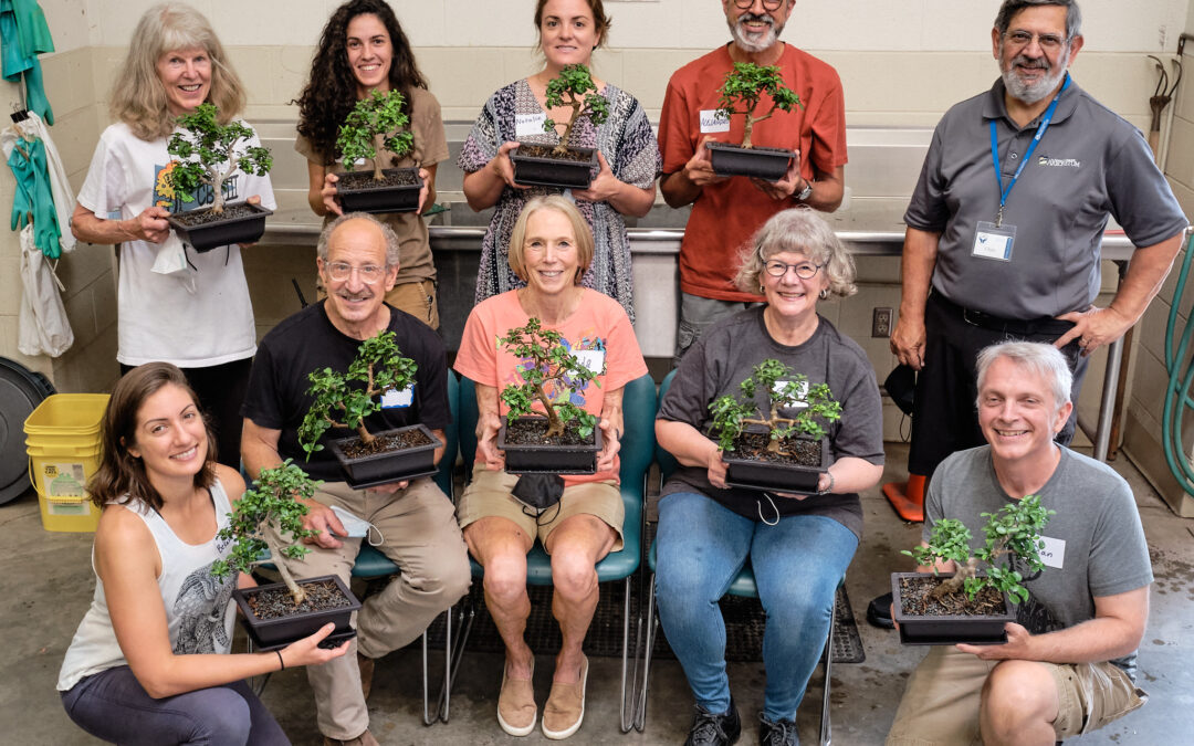 Beginning Bonsai Workshop (full)