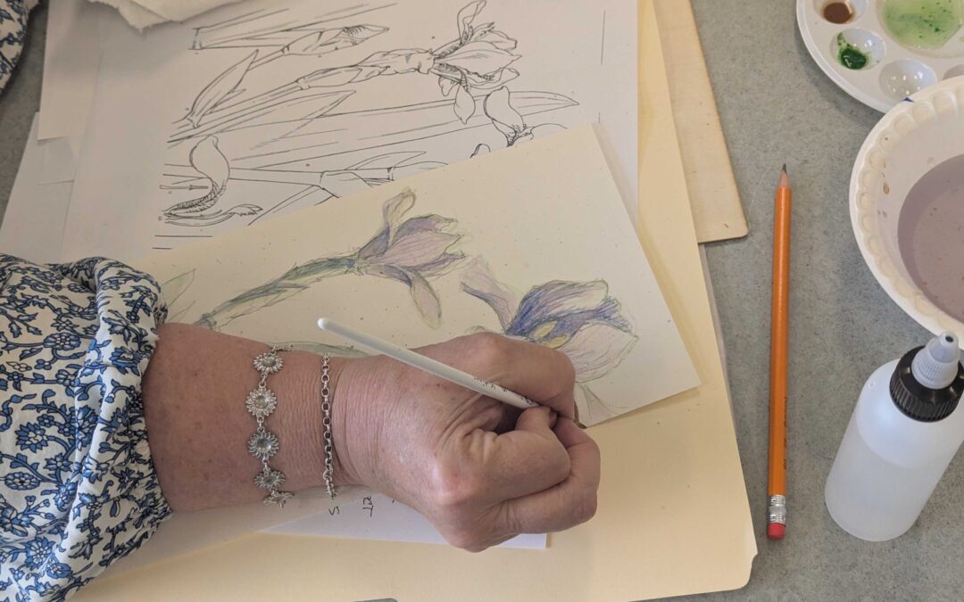 Botanical Drawing for Beginners – March