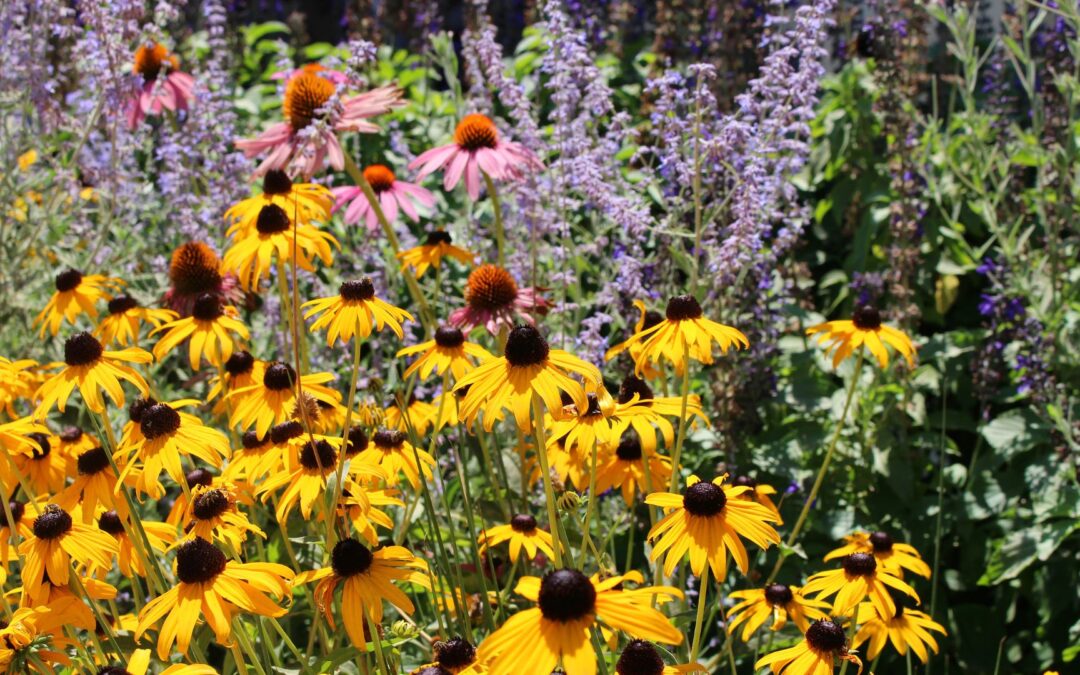 Botanical Latin for Gardeners