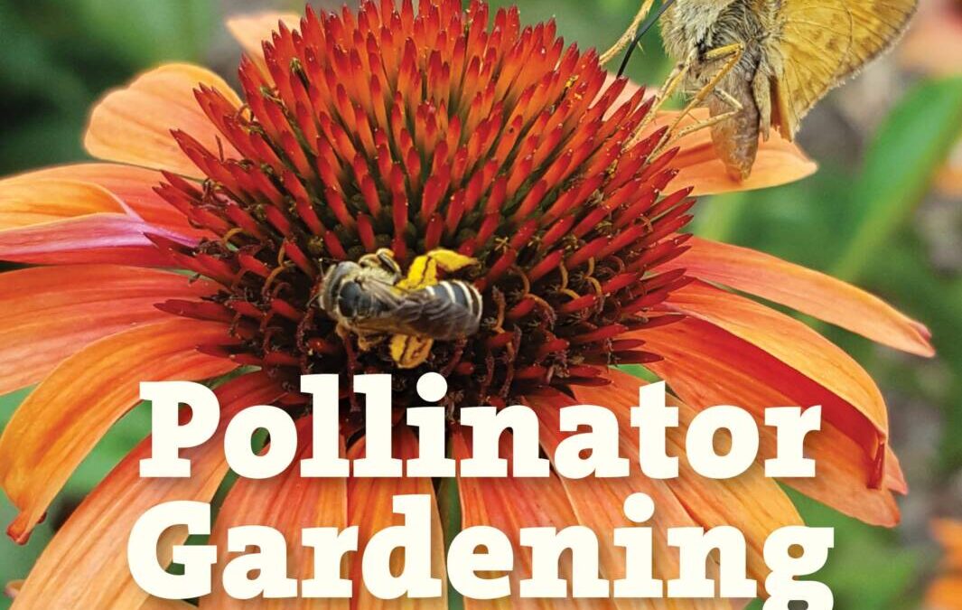 Book Launch: Pollinator Gardening for the South