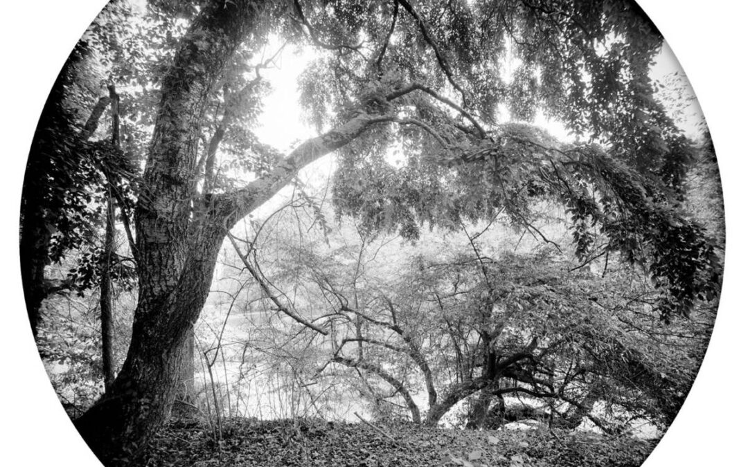 AE21 Seeing Beauty: A Contemplative Photography Awe Walk