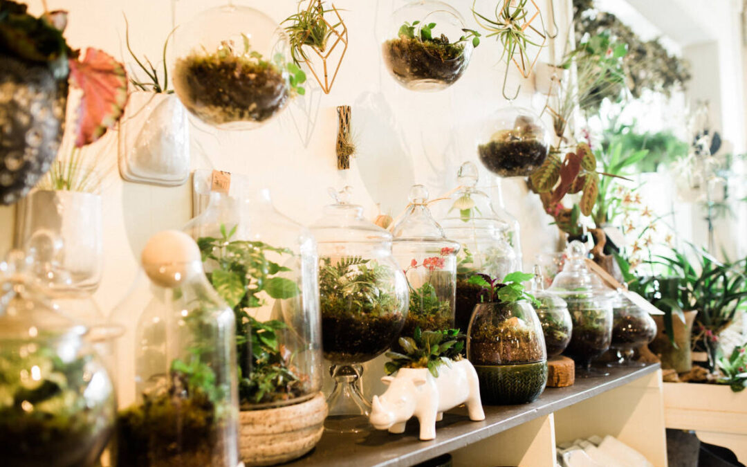 *CANCELED* Crafty Hour: Spooky Terrariums