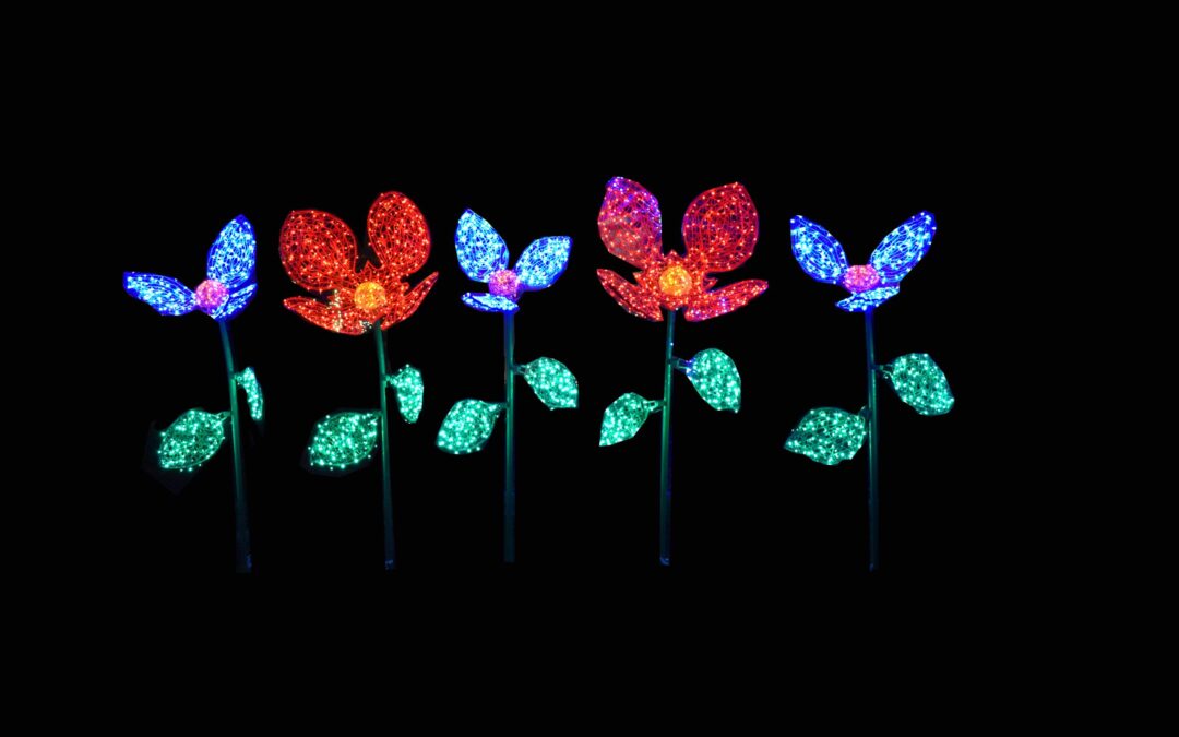 Winter Lights