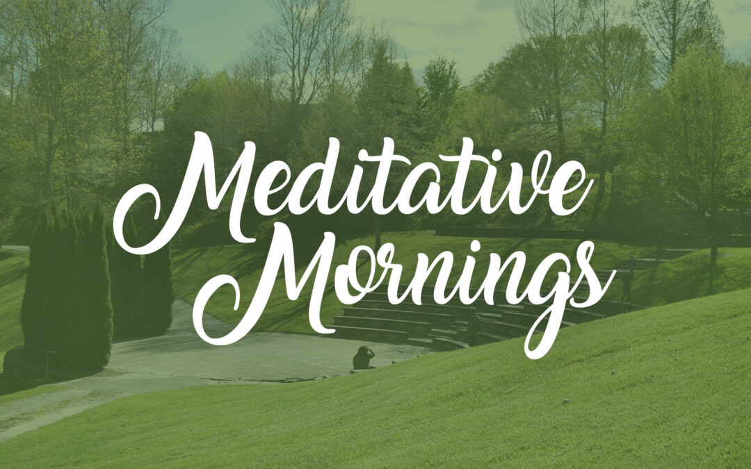 Meditative Morning Birding Walk in the Arboretum Forest