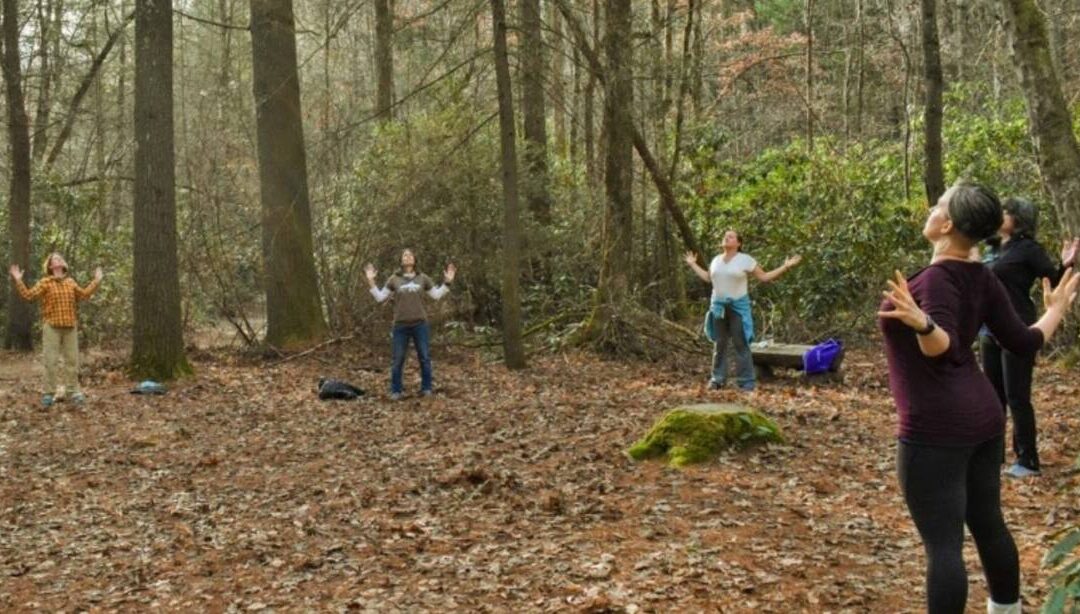 Silent Hike & Forest Qigong