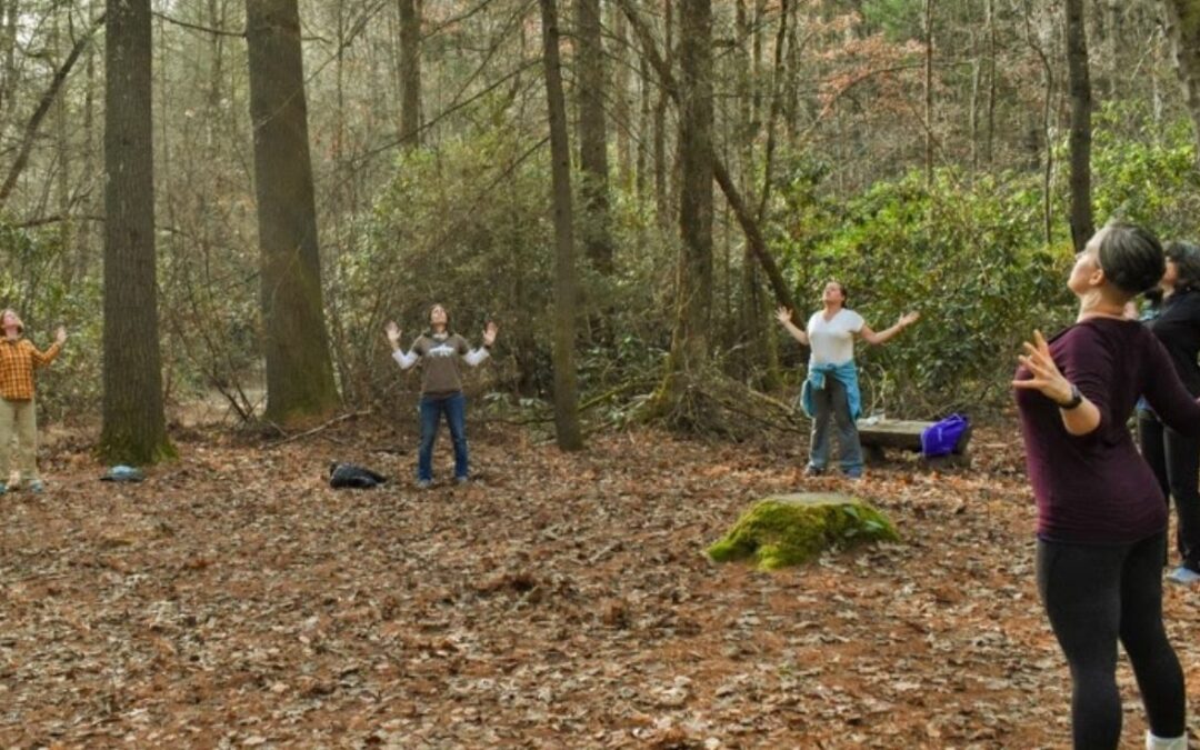 Silent Hike & Forest Qigong