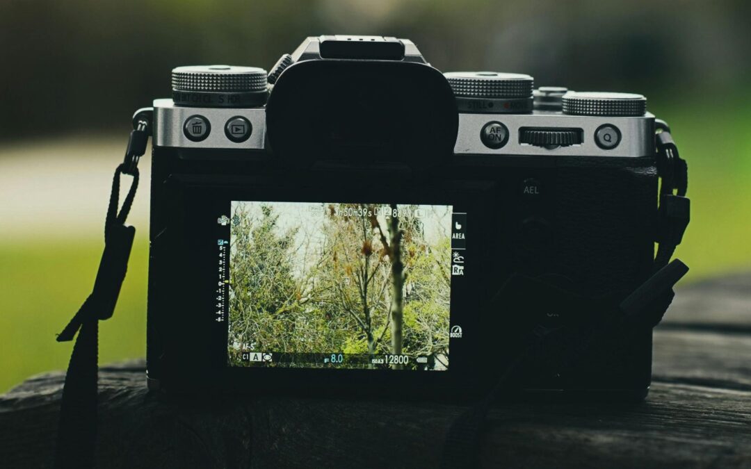 Garden Photography Workshop