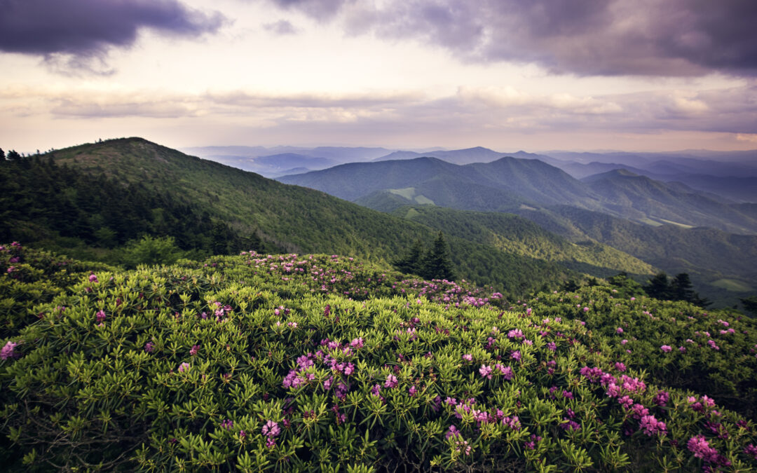 Geology of the Blue Ridge I