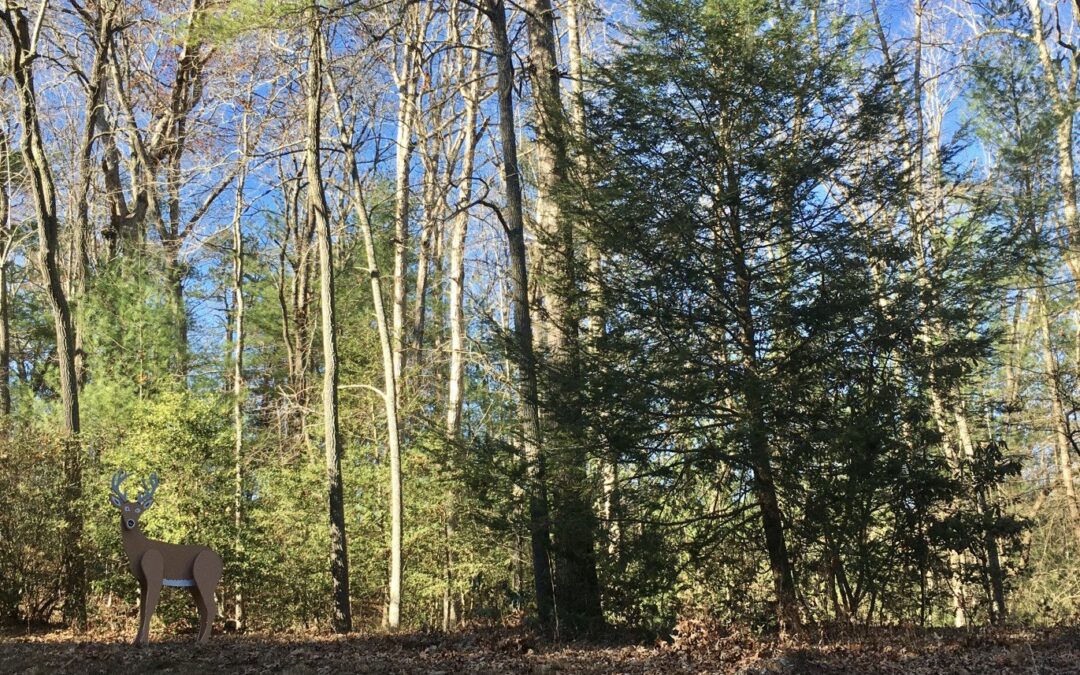 Hemlock Restoration Initiative Hike