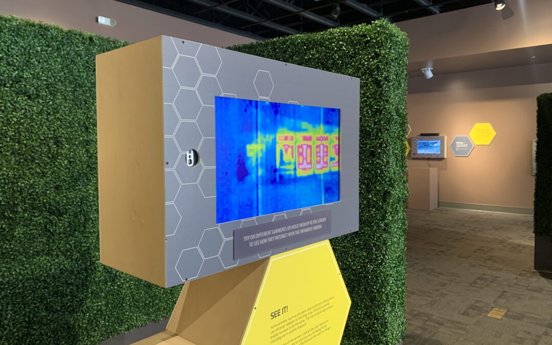 Nature’s Blueprints: Biomimicry in Art and Design
