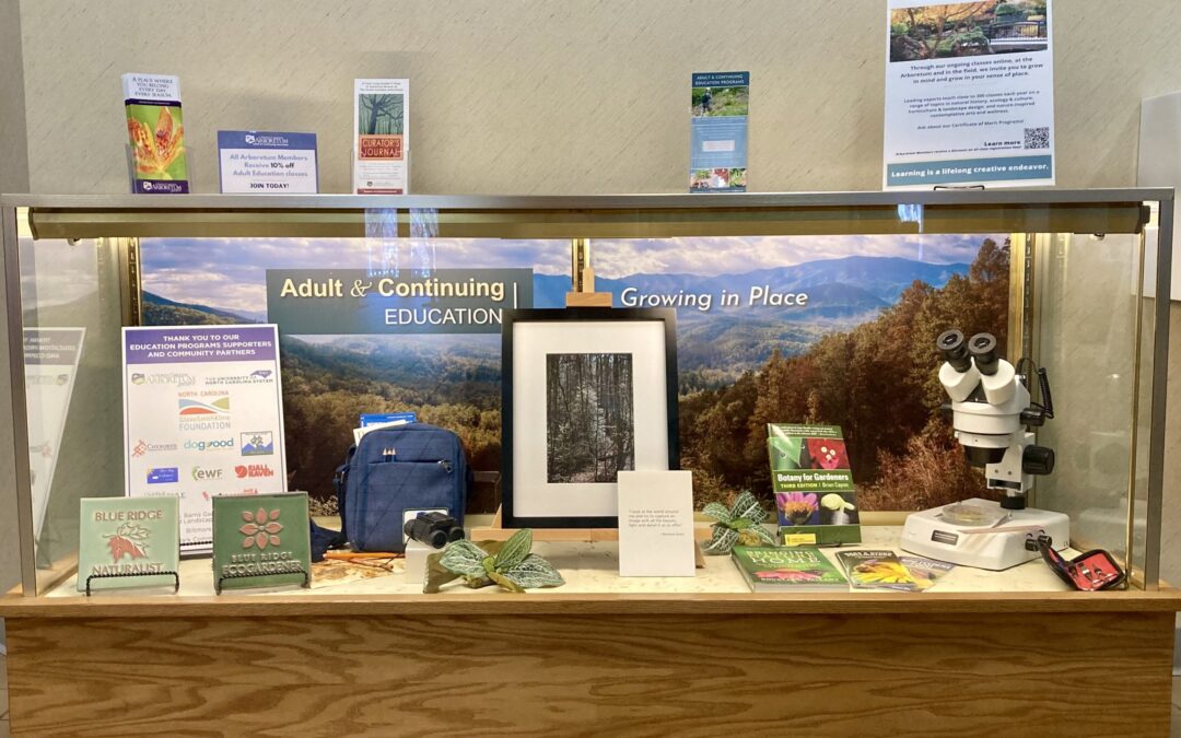 Adult Education Open House
