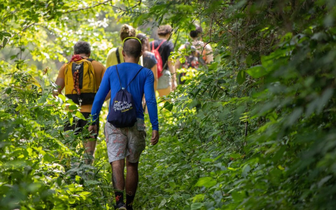 Naturalist Walk and Talk – Dragonflies and Damselflies