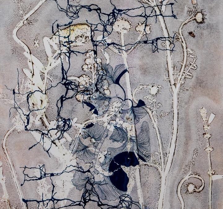 Botanica: Botanical Monoprints by Sandee Johnson