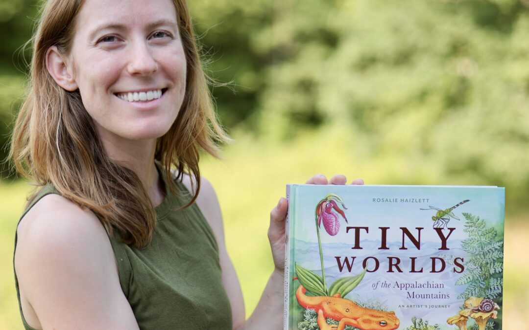 Tiny Worlds of the Appalachian Mountains: Artist Talk & Gallery Opening