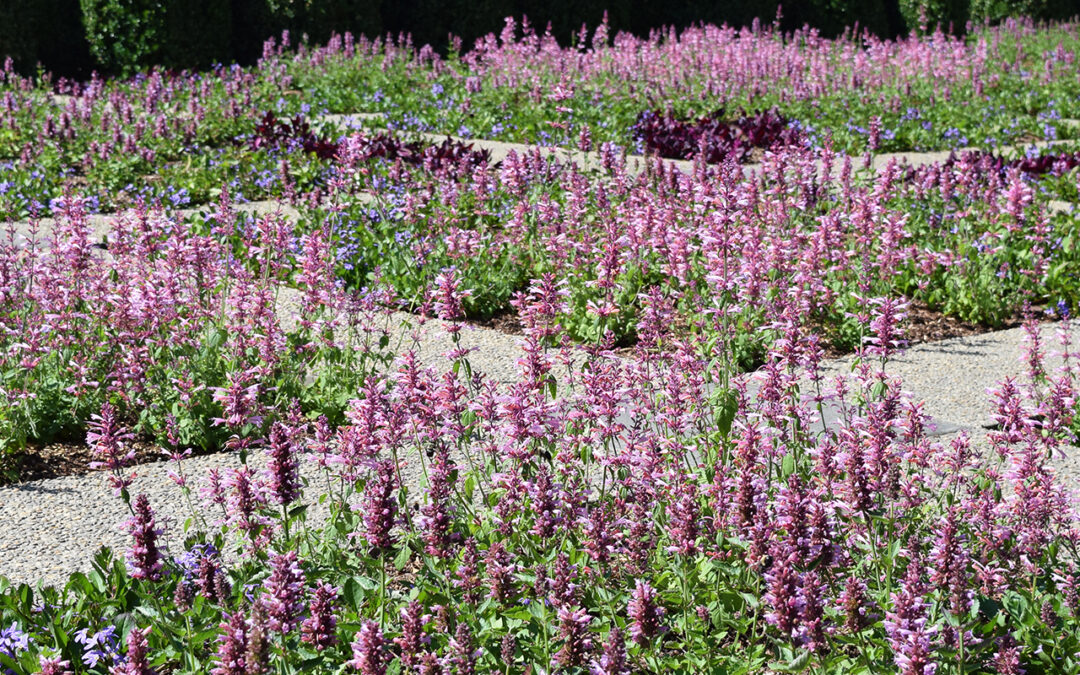 Healing Gardens