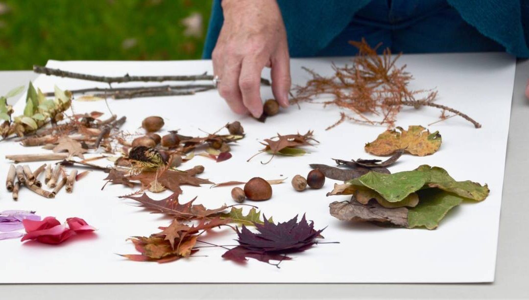 AE21 Finding Beauty in the Ephemeral: Making Nature-Inspired Mandalas