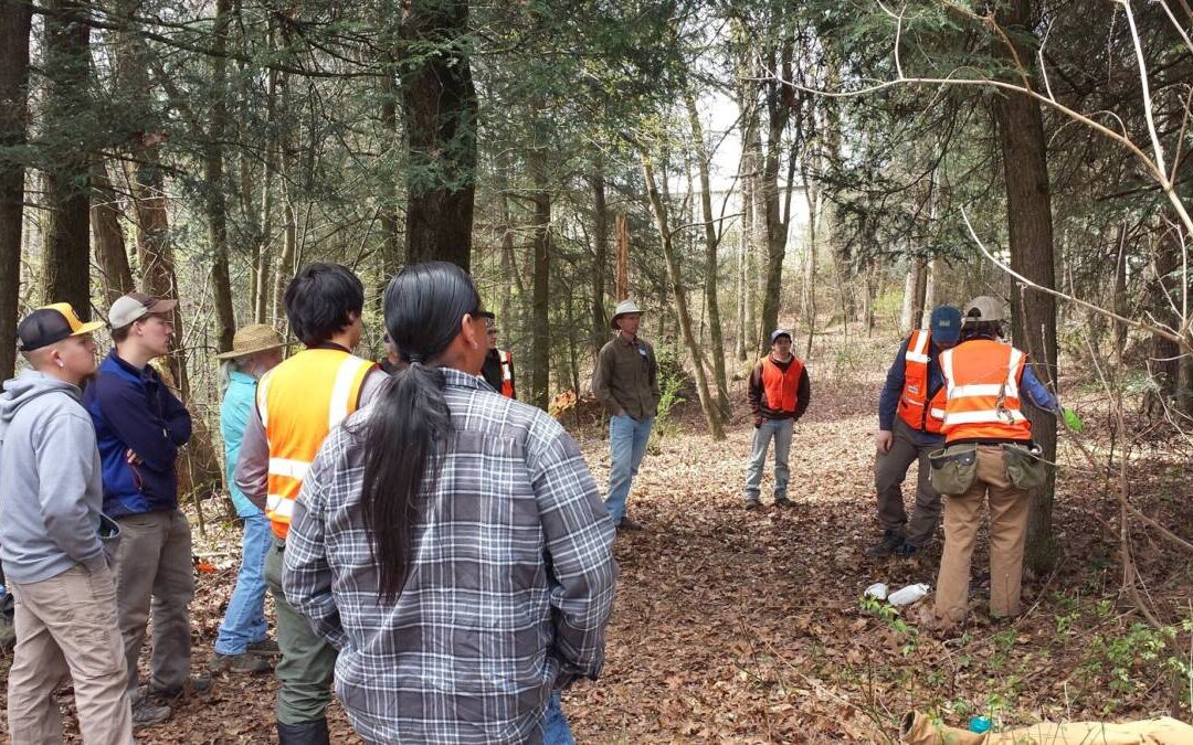 *CANCELED* Hemlock Management Workshop with the Hemlock Restoration Initiative