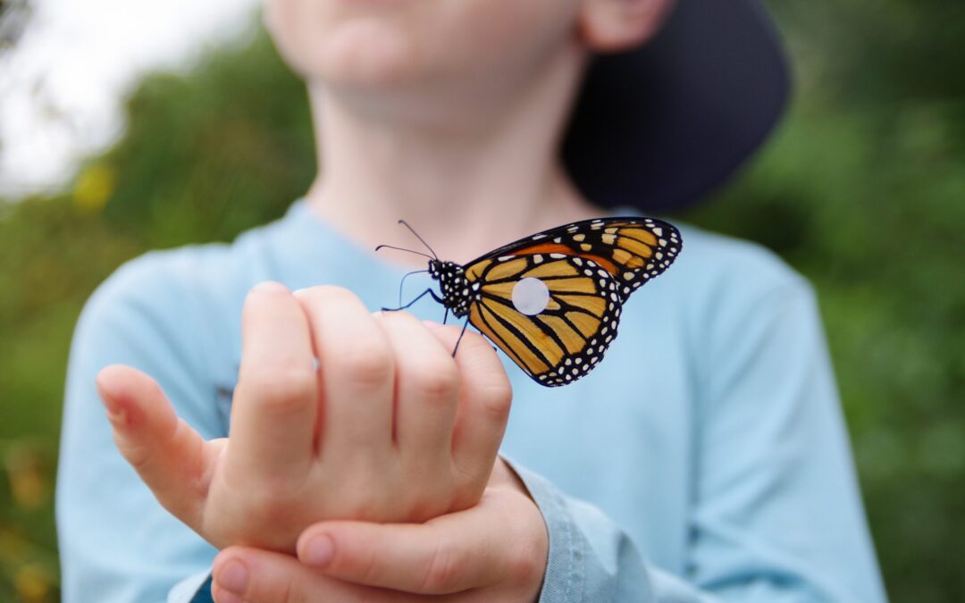 Monarch Butterfly Day