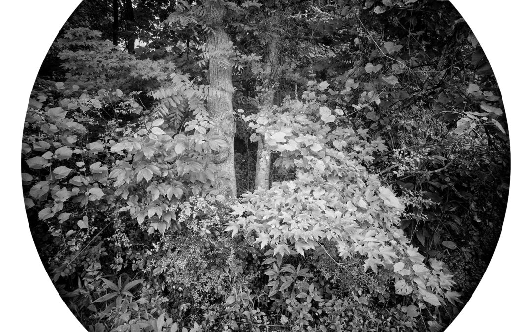 Contemplative Photography & The Enveloping Landscape: A Makers Retreat